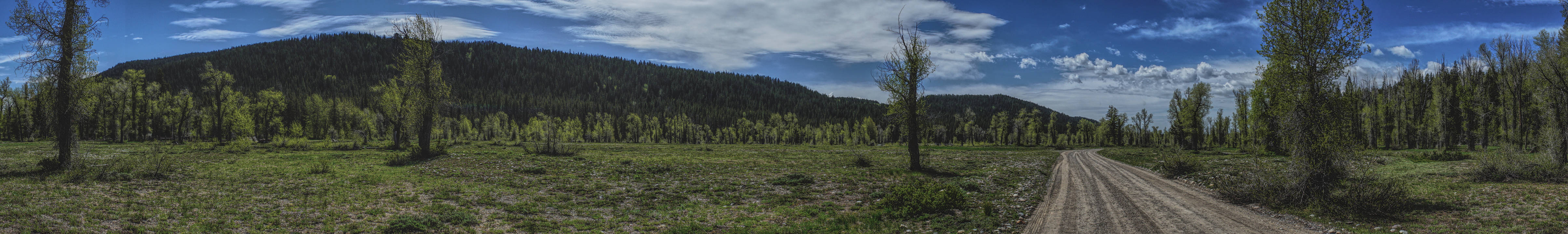 Bridger-Teton National Forest