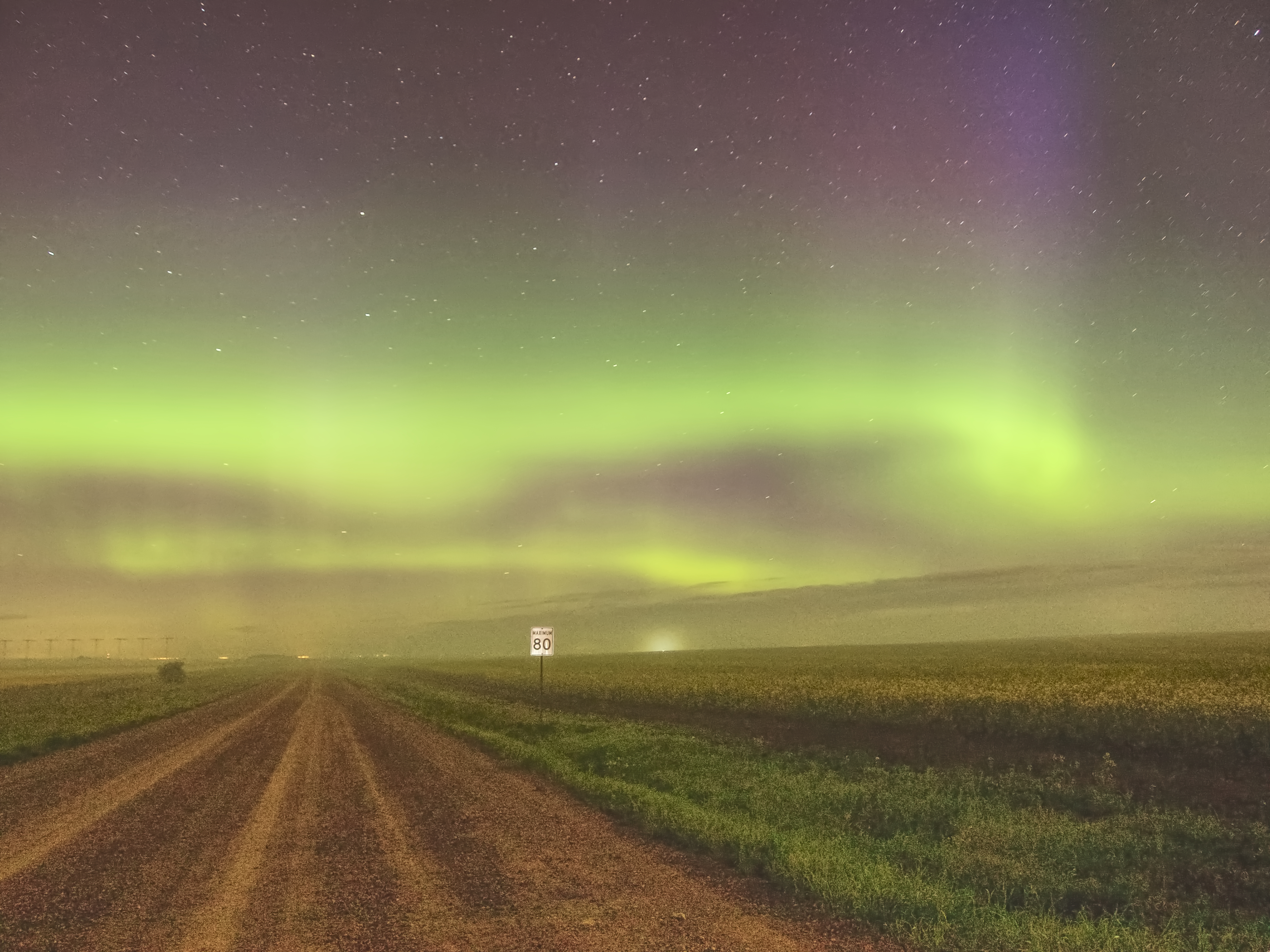 Foggy Back Road