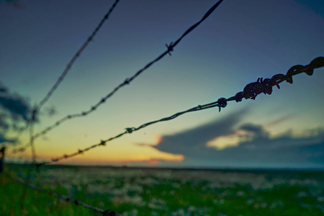 Barbed Fence