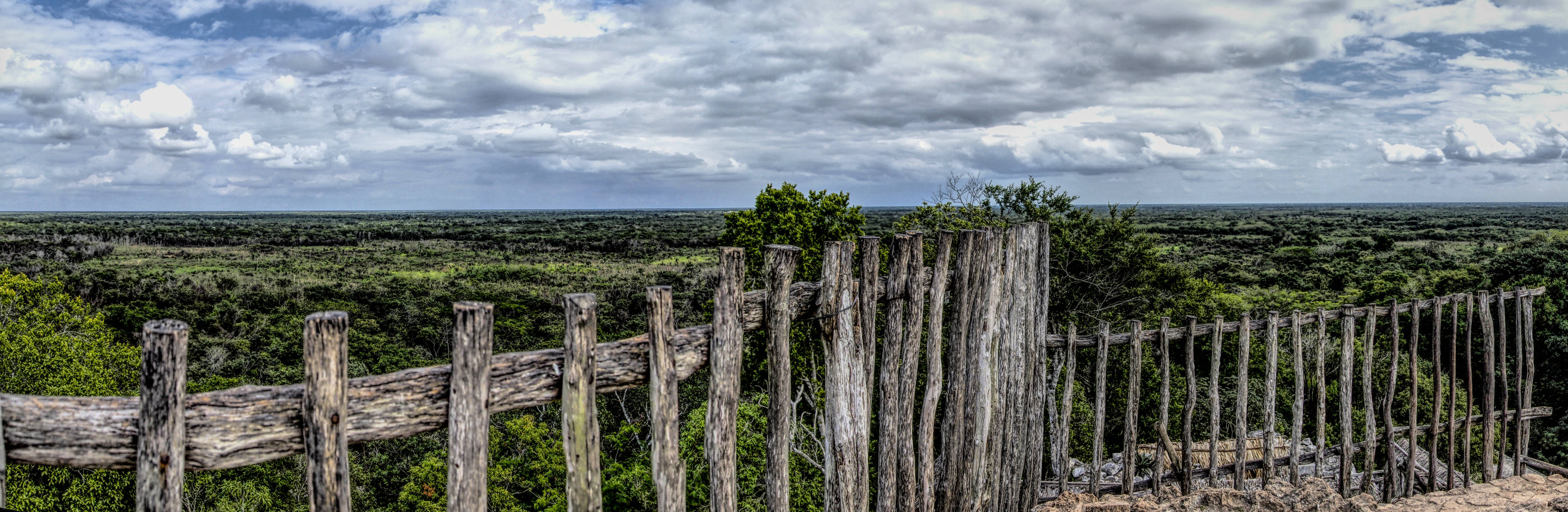 Ek Balam Tree Tops