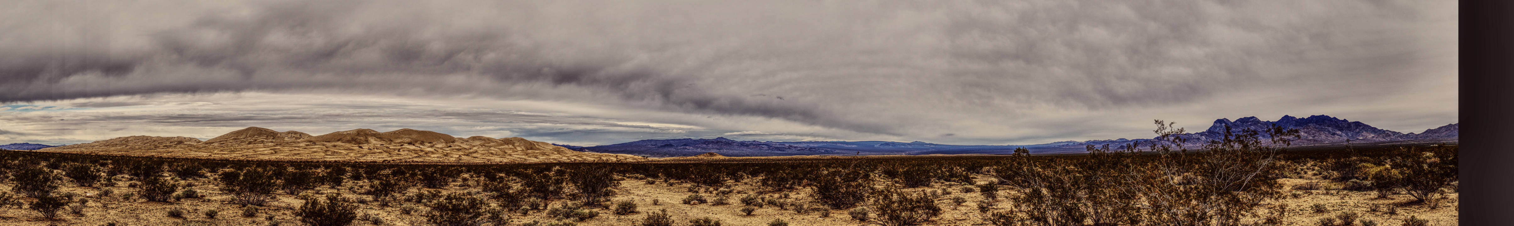 Mojave Desert Dunes