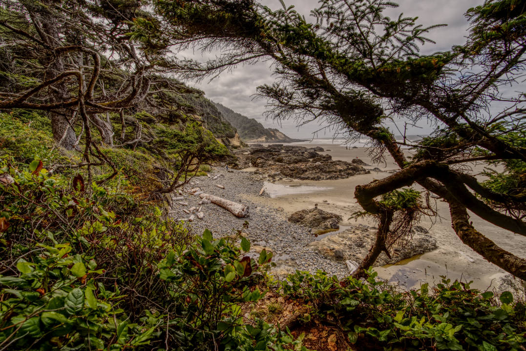 Oregon Coast