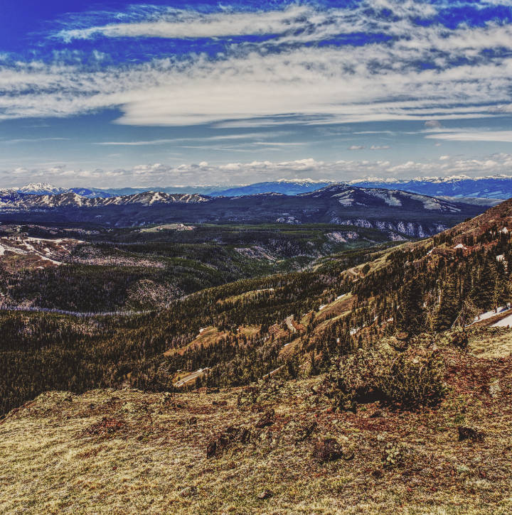 Mt. Washburn View