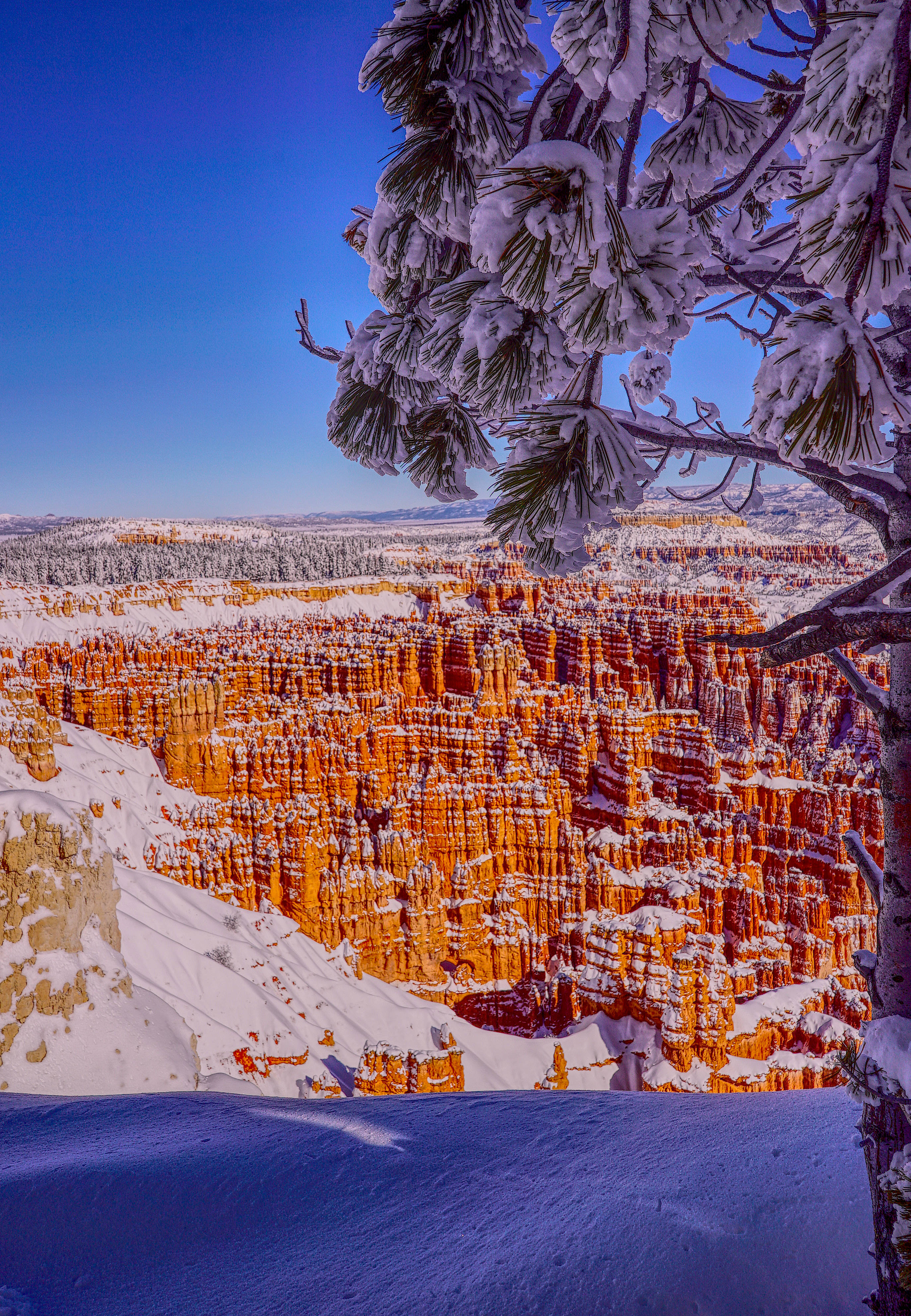 Snowy Bryce Canyon